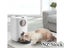 PTN NEW Automatic Pet Feeder Sale - Sale Sale Carousel 4