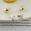 925 Sterling Silver star shaped stud earrings "Antares" Carousel 4