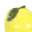 Lemon Oil Burner Carousel 4