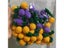 5Pcs 2CM Braid Hand Hook Cherry Hand-knitted Green Leaf Red Cherries Crafts DIY Carousel 7