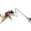 Interactive Flirt Pole For Dogs Leather Bite Rag Dog Chew Toys Puppy Ball Toys Carousel 7