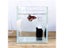 Fish Tank Filter Carousel 1