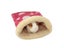 Pet Guinea Pig Hedgehog Squirrel Hamster Sack Bed Multiple Colors Waterproof Carousel 4