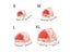 Small Pet Bed Carousel 7