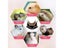 Small Pet Bed Carousel 7