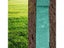 0.2x3m 0.2x10m Biodegradable Grass Seed Mat For Gardening Carousel 8