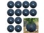 Tree Protection Weed Mat Round Plant Control Barrier Ring For Pots Lawn Carousel 4