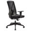 Buro Brio II Pro High Mesh Back Lumbar Support Executive Chair, Black Nylon Base Carousel 2