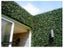 Artificial Hedge Wall Boxwood Spring Growth 3m² Carousel 7