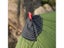 FLAME'S CREED Lanshan 2 Pro Just 915 Grams 2 Side 20D Silnylon LightWeight 2 Carousel 3