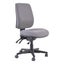 Buro Roma 3 Lever High Back Ergonomic Office Chair, Charcoal, Black Nylon Base Carousel 1