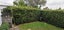 ASAP: Garden Maintenance: Hedge Trim & Tree Prune Carousel 7