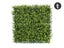 Artificial Hedge Wall Boxwood Spring Growth 3m² Carousel 1
