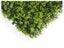 Artificial Hedge Wall Boxwood Spring Growth 3m² Carousel 2