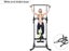 Fortis Home Gym Multi-Function Power Tower Carousel 3