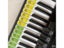 Accordion Strap Carousel 7