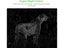 Mini Trail Hunting Camera 20MP 1080P For Wildlife Night Vision Carousel 4