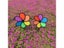 Loading Image 1 of 9