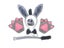 Adults Kids Plush Boy Donkey Headband Tail Tie Paw Nose Animal Birthday Party Carousel 2