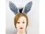 Adults Kids Plush Boy Donkey Headband Tail Tie Paw Nose Animal Birthday Party Carousel 3