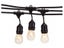 Festoon Lights Filament Replacement Bulbs - 6 Pack Carousel 2
