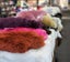 Brand New New Zealand Long Wool Colored Sheepskin Rug Single Size Carousel 6