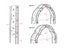 Garden Arch Steel Gothic Carousel 9