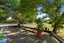 gallery view thumbnail
