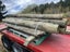 Wooden Poles Hardwood and Pine Carousel 7