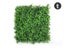 Artificial Hedge Wall Ivy 3m² Carousel 1