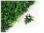 Artificial Hedge Wall Ivy 3m² Carousel 2