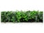 Artificial Hedge Wall Ivy 3m² Carousel 3