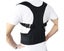 Back Support Belt M NZ Clearance Carousel 7