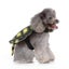 Funny Pet Clothes Turtle Cosplay Clothes Halloween Costume For Puppy Dog size Carousel 3