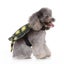 Funny Pet Clothes Turtle Cosplay Clothes Halloween Costume For Puppy Dog size Carousel 4
