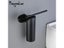 Toilet Brush Holder Matte Black Stainless Steel Wall Mount Cleaning Tool Carousel 4