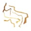 Loading Image 2 of 3