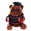 23cm Dark Brown Stuffed Bear Plush Toy Bear With Graduation Hat Shape Doll Grad Carousel 1
