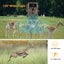Trail Game Camera Wildlife Hunting Cam 32MP 2160P Motion Security Surveillance Carousel 3