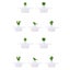 Loading Image 2 of 3
