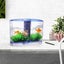 Green Decor Fish Tank Aquatic Plants Fish Separation Box Fish Tank Accessories Carousel 4