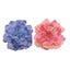 2pcs Clip Type Curtain Binding Strap Curtain Clip Strap Flower Curtain Buckle F Carousel 1