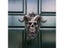 Modern Art Door Ring Hell Demon Horned Skull Hanging Knocker Gothic Heavy Duty Carousel 4