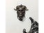 Skull Door Knocker Hell Devil Horn Skull Door Hanging Gothic Home Resin Decor Carousel 6