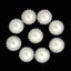 10 Pcs Rhinestone Hair Accessories Pearl Rhinestone Button Clothes Accessory Pe Carousel 2