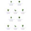 Loading Image 1 of 4