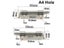 1Pair 304 Stainless Steel Cabinet Hinge Security Bolt Carousel 1