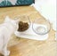 PTN NEW Cat Feeder Bowl Sale - Sale Sale Carousel 11