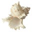 Loading Image 1 of 5