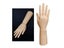 Female Mannequin Hand Jewelry Display Holder For Rings Watch Carousel 4